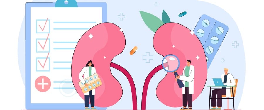 The difference between CKD, Stage 3 Kidney Disease, and C3G